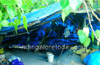 Four persons injured as a result of Peepal tree falling in Mangaladevi Temple